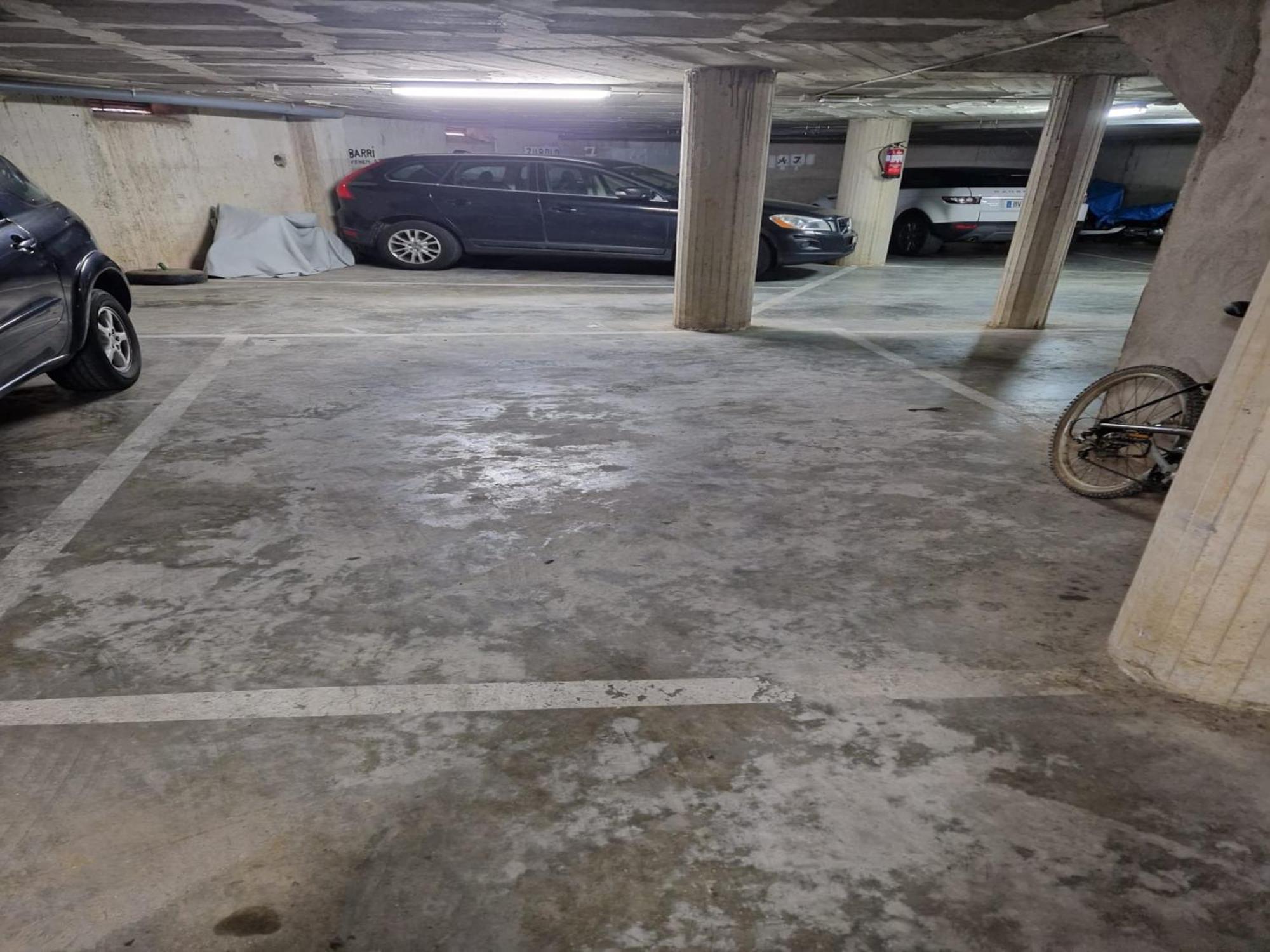 Spacious In The Heart Of Roses